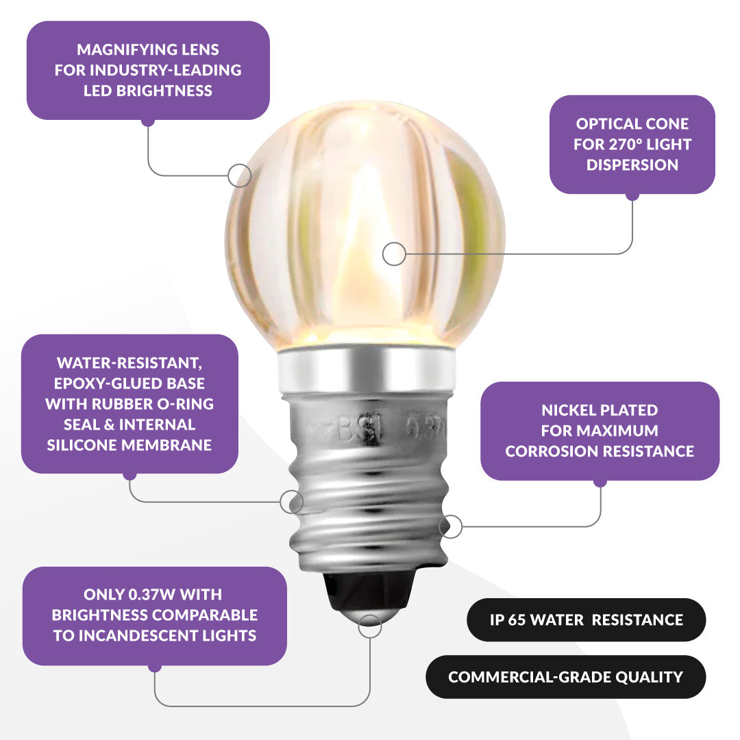 G20 Bulbs (Case of 500)